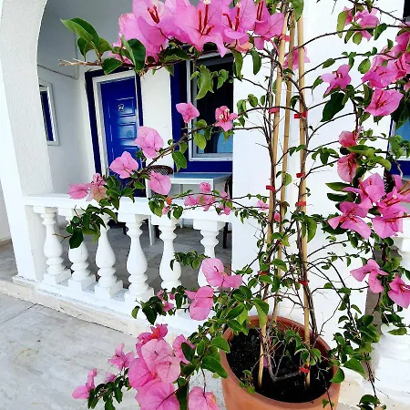 Dreams Bodrum Hotel Bed & Breakfast Bodrum