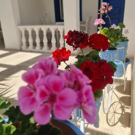 Bed & Breakfast Dreams Bodrum Hotel *